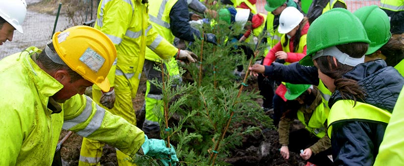 ¡No dejes todo para último momento! El periodo de reporte de la COA está por terminar CESE
