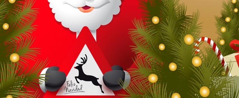 ¡A celebrar de forma segura! CESE Consultores te desea felices fiestas. CESE