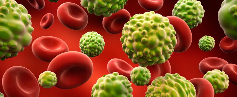 Día Mundial de la Lucha contra el Cáncer: ¡a nuestro alcance! CESE