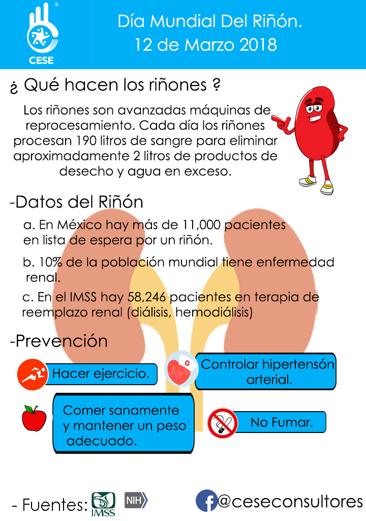 Día mundial del riñón