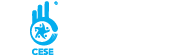 CESE Consultores