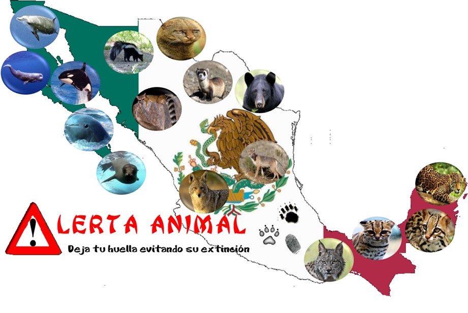 Las especies en peligro 